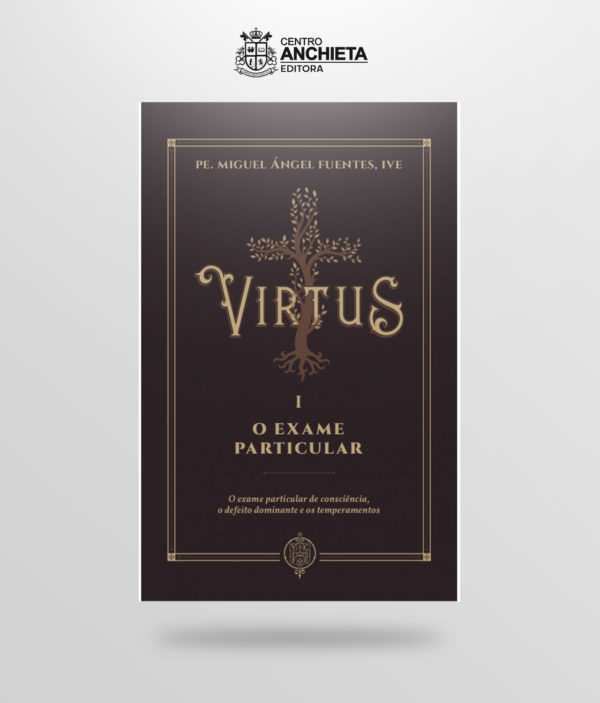 livro virtus I o exame particular de consciência