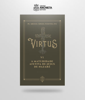 livro virtus vi a maturidade afetiva de jesus de nazaré