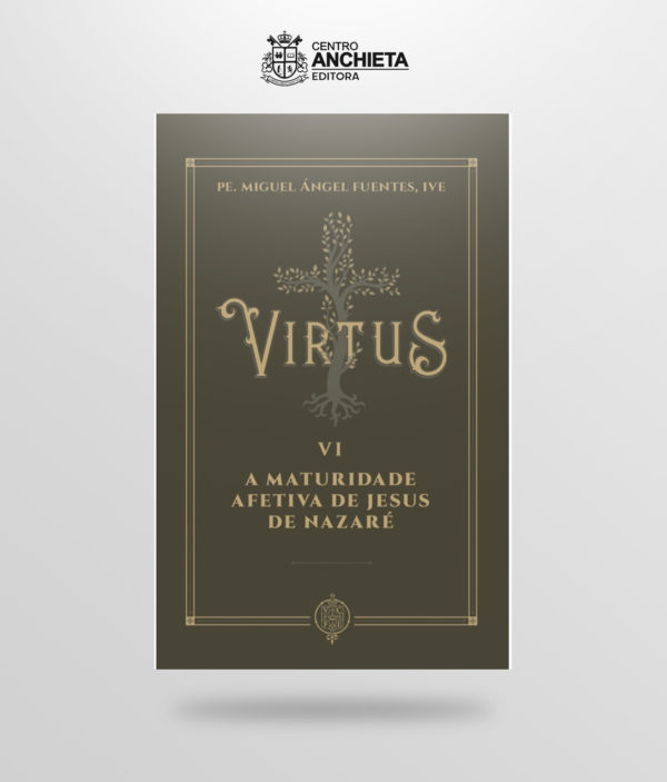 livro virtus vi a maturidade afetiva de jesus de nazaré