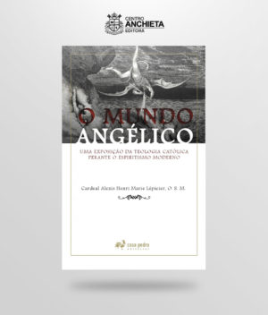 livro o mundo angélico